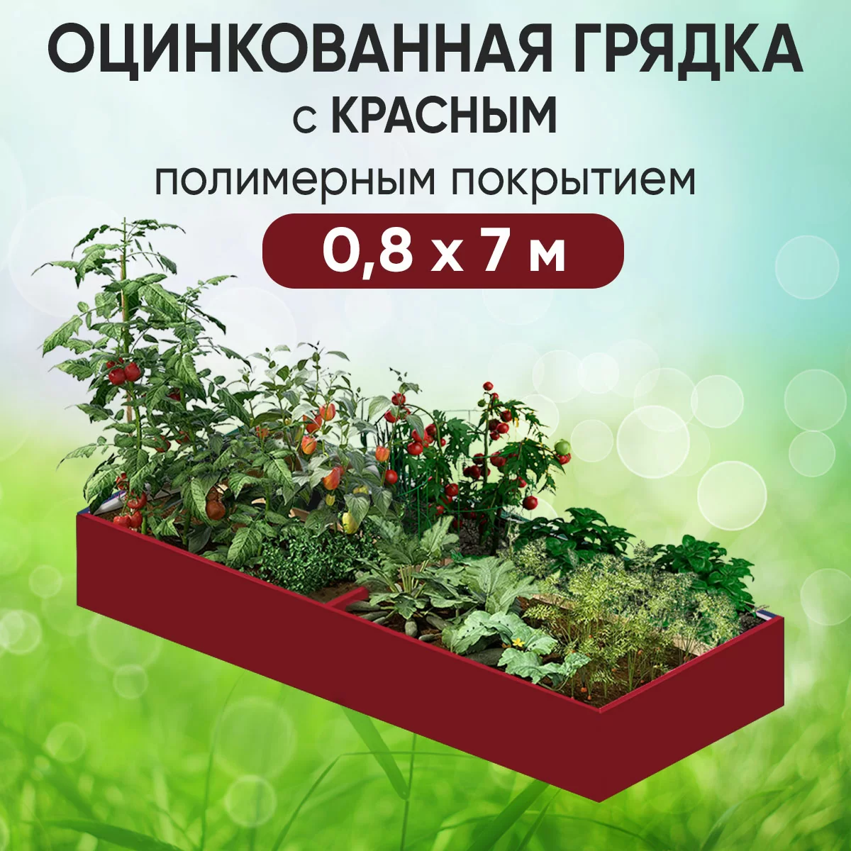 Грядка красная (0,8 х 7)