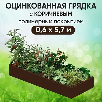 Грядка коричневая (0,6 х 5,7)