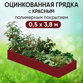 Грядка красная (0,5 х 3,8)